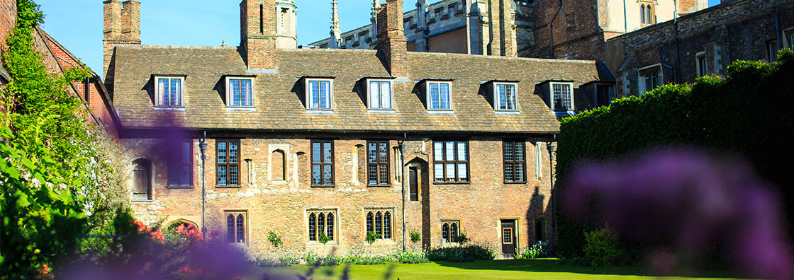 House with lavender